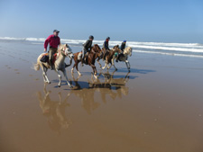 Morocco-Morocco-Sable d'Or - Southern Morocco